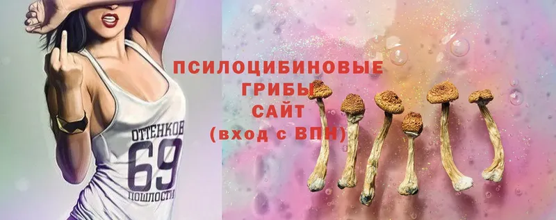 Галлюциногенные грибы Psilocybine cubensis  Чёрмоз 