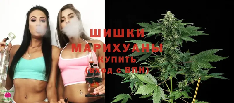 Каннабис OG Kush  Чёрмоз 